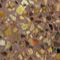 Terrazzo / Polished Concrete, Image.